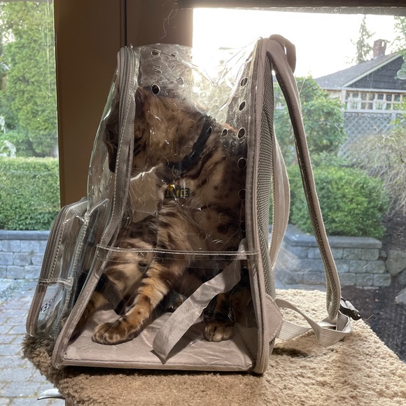Petseek clear plastic pet cat backpack carrier - Picture 9 of 9